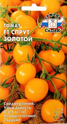 Томат Спрут Сливка Шоколадная F1, 0,03г