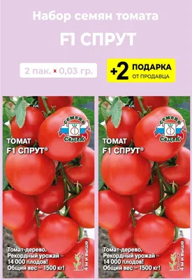 Семена Седек Томат F1 Спрут - «Обещали ПОМИДОРНОЕ дерево - ГИГАНТ, а вырос  КАРЛИК! Я в шоке! Соседи в ШОКЕ! Вся деревня в ШОКЕ! Легендарный сорт  томатов СПРУТ F1 - отзыв огородника