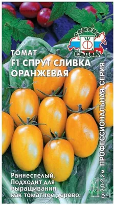 Томат-дерево Спрут F1, 10 шт купить 〛по выгодной цене в Киеве и Украине |  Фото | Отзывы