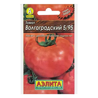 ✓ Семена Томат Волгоградский 5/95, 25г, Гавриш, Фермерское подворье по цене  728 руб. ◈ Большой выбор ◈ Купить по всей России ✓ Интернет-магазин Гавриш  ☎ 8-495-902-77-18