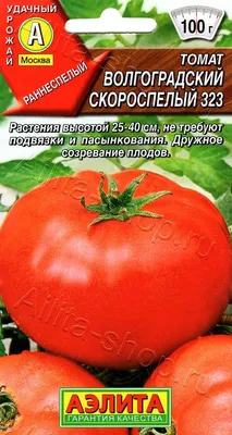 Томаты ЛЕТО LER13881572 - купить по выгодным ценам в интернет-магазине OZON  (489416666)