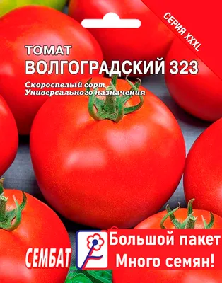 Семена томатов (помидор) Волгоградский 323 купить в Украине | Веснодар