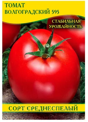 Томаты Сембат Волгоградский - купить по выгодным ценам в интернет-магазине  OZON (311998204)