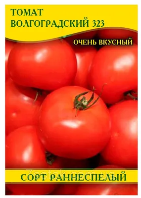 Волгоградский 5/95 - семена томатов, 50 и 500 гр.(банка), Поиск (Россия) -  купить в интернет-магазине fremercentr.ru быстрая доставка. Почтой или ТК.