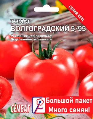 Безрассадные помидоры и способы выращивания - Agro-Market