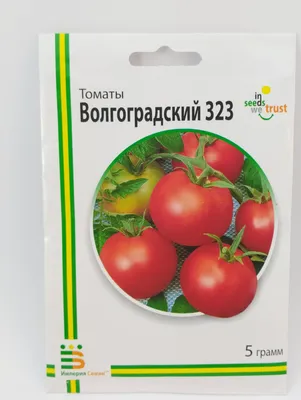 Помидоры Волгоградский: описание сорта. Большой урожай без постоянного  присутствия на даче | Азбука огородника | Дзен