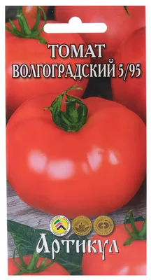 Томат обыкновенный Волгоградский скороспелый 323 🌿 обзор: как сажать,  семена томата - YouTube