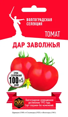 Что такое детерминантные и индетерминантные сорта помидоров: когда сажать  помидоры на рассаду, лучшие и урожайные сорта томатов - 2 апреля 2023 -  v1.ru