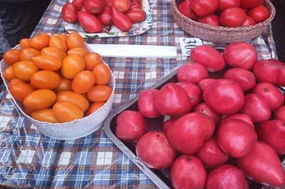 Хреновина на зиму - антимикробная защита в каждой ложке. Польза хреновины и  ее противопоказания. | ПРЕЛЕСТЬ | Дзен