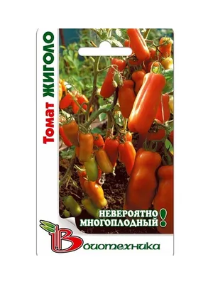 Томаты Проверенные семена Жиголо - купить по выгодным ценам в  интернет-магазине OZON (368840689)