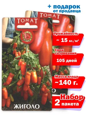 Томаты Проверенные семена Жиголо - купить по выгодным ценам в  интернет-магазине OZON (1136548988)