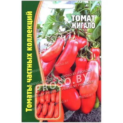 Семена томат жиголо - купить в Москве