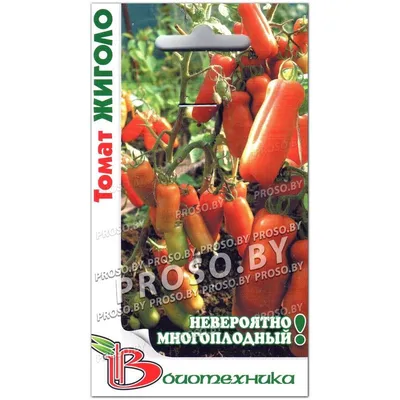 Жигало: описание сорта томата, характеристики помидоров, посев