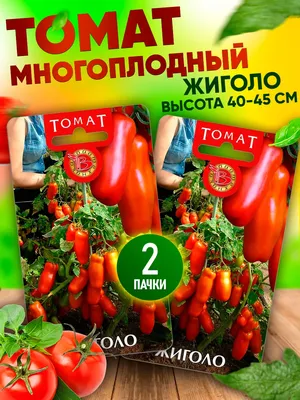 Томаты Биотехника Томат Жиголо - купить по выгодным ценам в  интернет-магазине OZON (473754913)