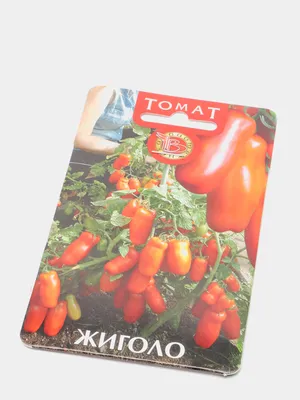 Томат Жиголо, 12 шт., купить в интернет магазине Seedspost.ru