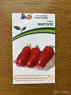 Томат Жиголо #томаты #томатывтеплице #жиголо #помидор #саддлядуши #сад... |  TikTok