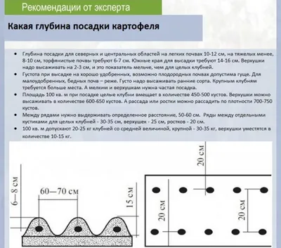 Голландская технология выращивания картофеля 🥔 | Посадка картофеля,  Агротехника, Технологии