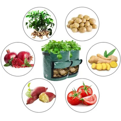 Купить PE мешок для посадки картофеля мешок для посадки сладкого картофеля  мешок для выращивания томатов и овощей мешок для выращивания овощей | Joom