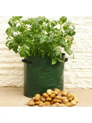 Мешок для посадки картофеля - купить в Москве I Санкт-Петербург I  Бесплатная доставка I Отзывы ☆