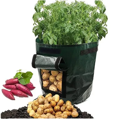 Выращивание картофеля в мешках – пошаговая инструкция. Посадка, уход,  преимущества и недостатки