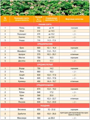 Проект ФАО: как таджикские дехкане осваивают новый сорт картофеля «Ред  Скарлет» • EastFruit