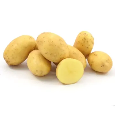 Обзор сортов раннего картофеля - Статьи - Магазин Семена в Самаре