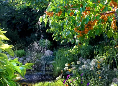Сад ангелов, прекрасный сад вишни, …» — создано в Шедевруме