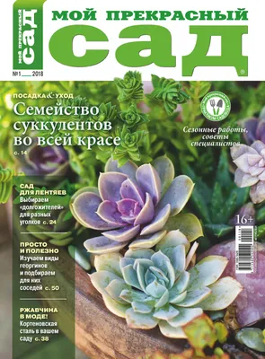 Календари: Настенный календарь на 2023 год. Прекрасный сад - купить в  интернет-магазине «Москва» с доставкой - 1127297