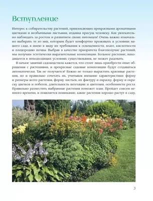 Журнал: Мой прекрасный сад 6 / 2019 купить в Минске и Беларуси | Стоимость:  за 3.16 руб.
