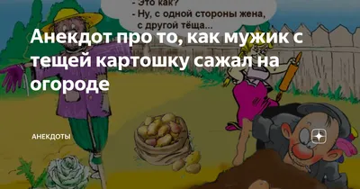 Ржачные мемы про еду: на что похожа картошка, чем пахнет от сыра и как  разговаривают макароны? | Уютный дом с BLIZKO | Дзен