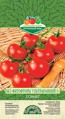 Можно ли есть помидоры с фитофторой — АгроXXI