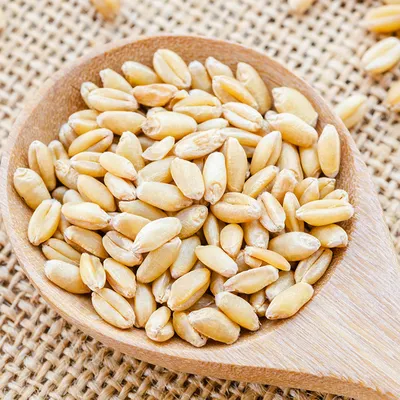 Пшеничная крупа 500г, пшеница (ID#1548571157), цена: 31.70 ₴, купить на  Prom.ua