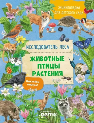 Купить 1 шт., мини-ремесло, птицы, искусственные птицы, перо, пена,  имитация птицы, домашний декор | Joom