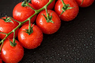 Лучшие сорта томатов в Украине - ТОП 7 гибридов помидор для открытого грунта