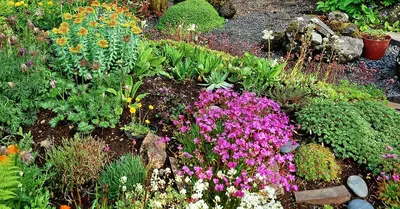 Пейзажный стиль английского сада | Интернет-магазин садовых растений