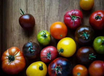Самые разноцветные помидоры. Давайте выращивать краски! | На природе, во  саду и в огороде | Дзен