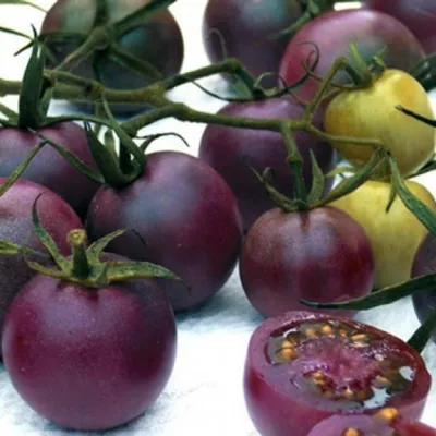 Разноцветные помидоры растут в …» — создано в Шедевруме