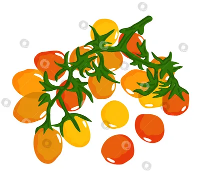 обычные помидоры и различные разноцветные помидоры черри на разделочной  доске Стоковое Изображение - изображение насчитывающей зрело, украшение:  216506579