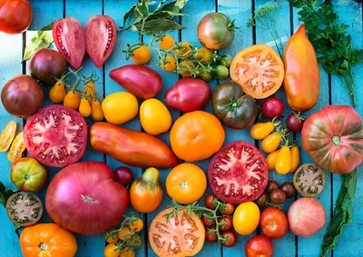 Цветные помидоры - тренд 2023 года. Лучшие сорта на нашем сайте.
