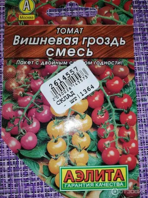 Маринованные помидоры с \"чорнобривцями\" на зиму за 30 мин: без хлопот.  Читайте на UKR.NET