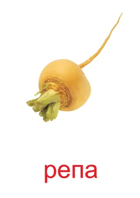 Маска карнавальная овоща для костюма Репка детская на утренник - купить по  доступным ценам в интернет-магазине OZON (310021943)