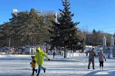 Вы оттуда никуда не денетесь». Почему в кафе в аэропорту так дорого? |  Личные деньги | Деньги | Аргументы и Факты