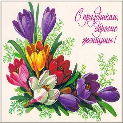 Papertole.by Набор 16шт Ретро открытки 8 марта с цветами