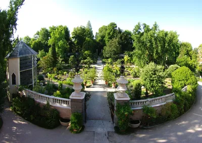 Рибамбель Ботанический сад - Picture of Ribambelle Green, Moscow -  Tripadvisor