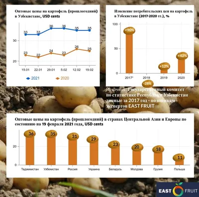 Настойка ростков картофеля Фито-Аптекарь 250 мл - купить в  интернет-магазинах, цены на Мегамаркет | витамины, минералы и пищевые  добавки СП0084