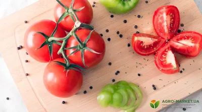 20 секретов успешного выращивания рассады помидоров, в домашних условиях.