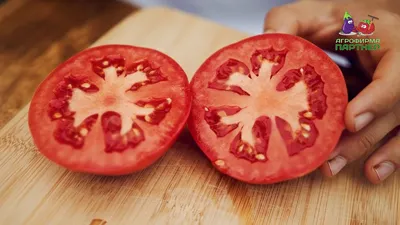 9 лучших сортов помидоров для теплицы: какие семена тепличных томатов  выбрать | ivd.ru