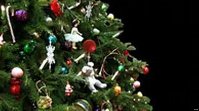 Новогодняя елка: 5 оригинальных идей украшения главного символа Нового года  - 7Дней.ру