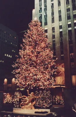 Большая новогодняя елка с золотистыми…» — создано в Шедевруме