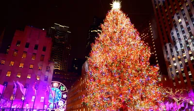 Новогодняя елка: история дерева и праздника, легенды, факты| WikiDedmoroz.ru